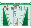 161-классификация живых организмов 1500х1200мм