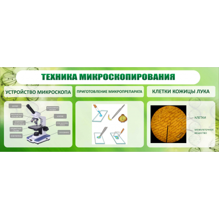 Техника микроскопирования